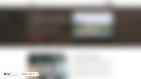 pizzulin.com screenshot