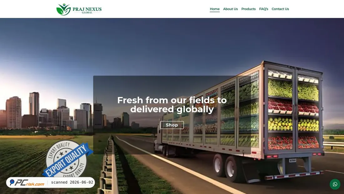 Screenshot of prajnexusglobal.com