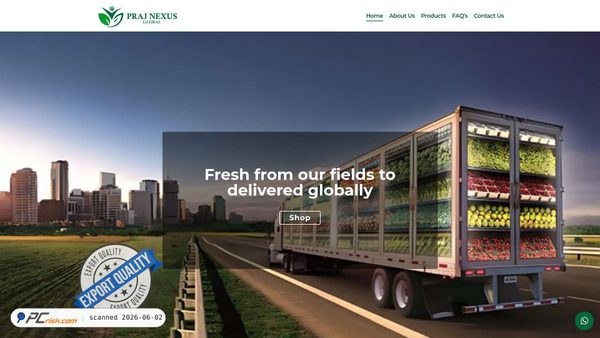 prajnexusglobal.com screenshot