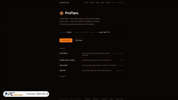 proflare.dev screenshot