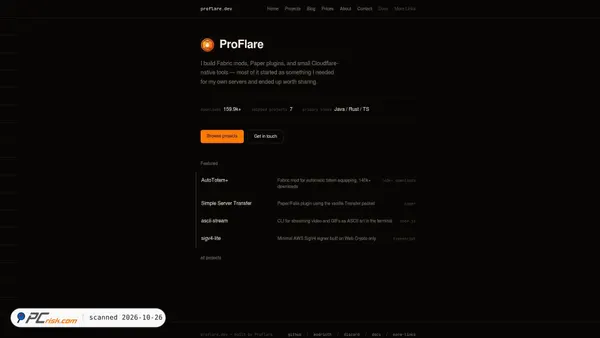 proflare.dev screenshot