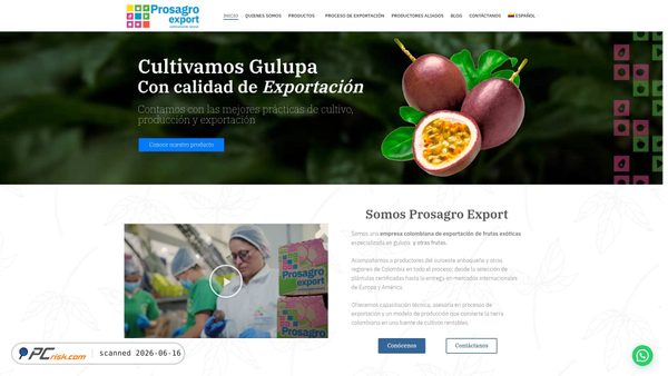 prosagroexport.com screenshot