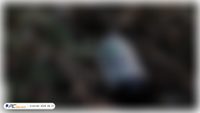 przystanektlen.pl screenshot