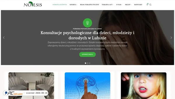 psychologlubin.com.pl screenshot