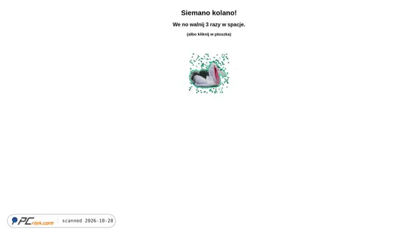 ptoszek.pl Screenshot