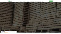 repallet.in screenshot