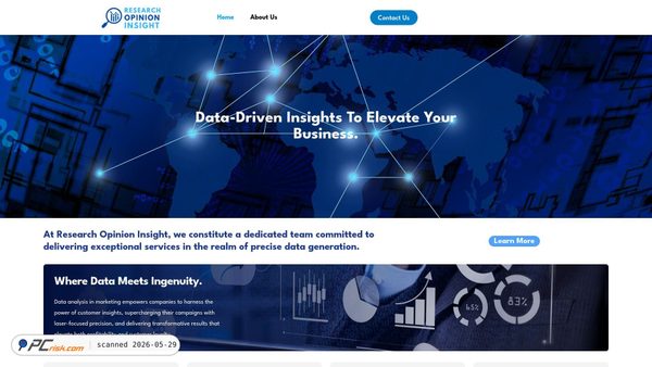researchopinioninsight.com screenshot