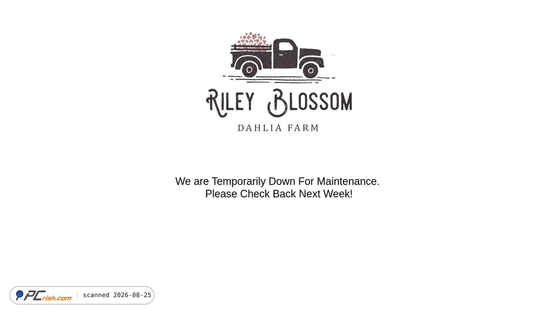 Screenshot van rileyblossom.com