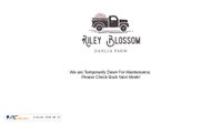 Zrzut ekranu rileyblossom.com