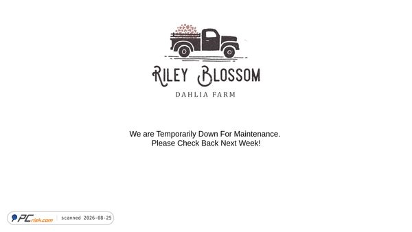 Captura de ecrã de rileyblossom.com