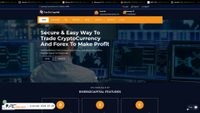 risebizcapital.com screenshot