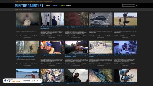 runthegauntlet.org Screenshot