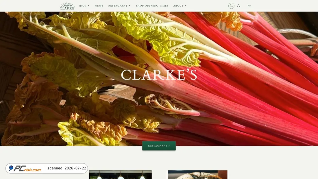 Screenshot of sallyclarke.com