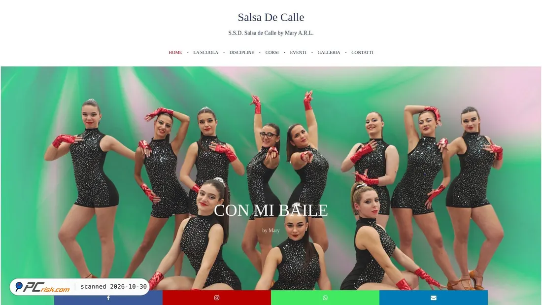 Screenshot of salsadecalle.com