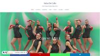 salsadecalle.com screenshot