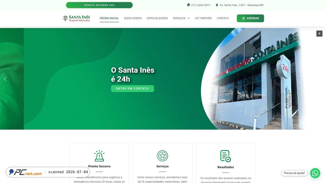 Screenshot of santainesvet.com.br