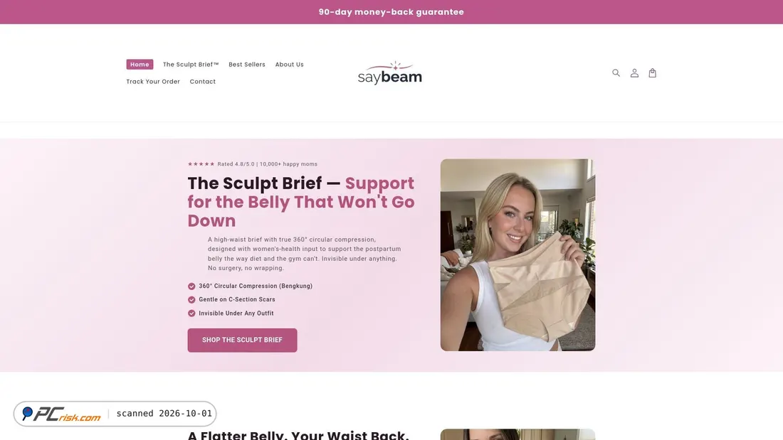 Screenshot of saybeam.com