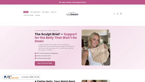 saybeam.com screenshot