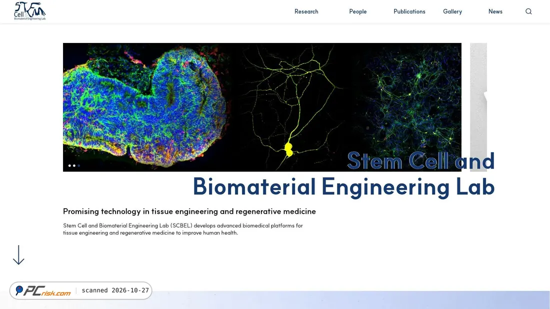 Screenshot of scbel.yonsei.ac.kr