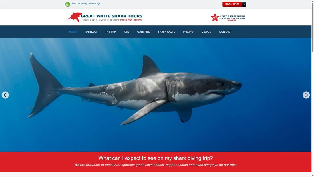 Screenshot von sharkcagediving.net