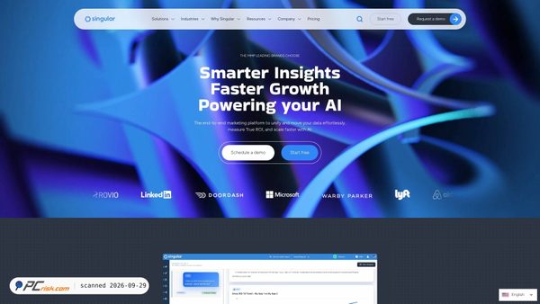 singular.net screenshot
