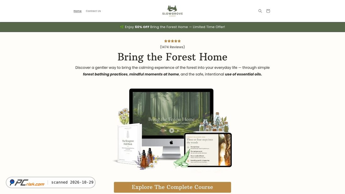 Screenshot di slowgroveacademy.com