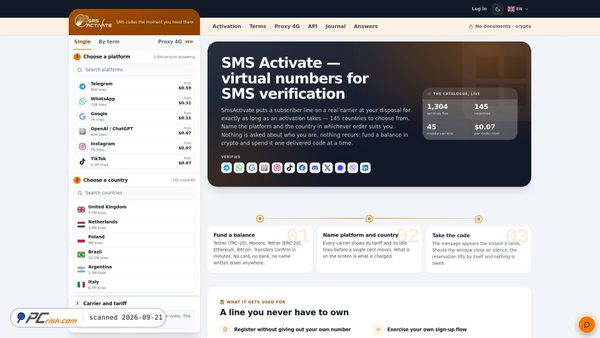 smsactivate.io Screenshot
