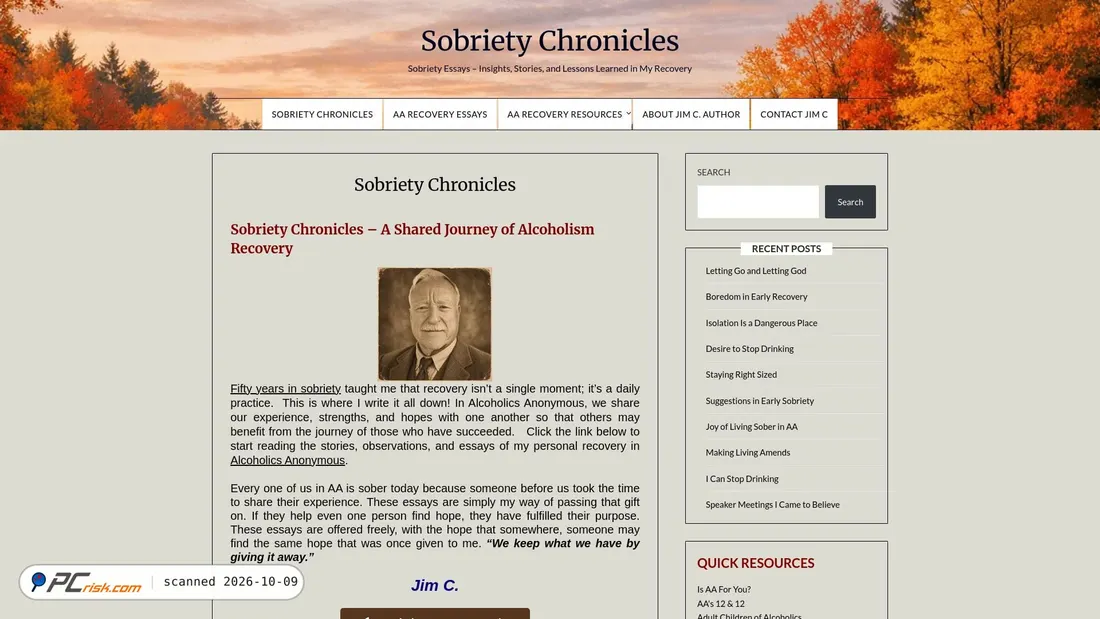 Screenshot of sobrietychronicles.com