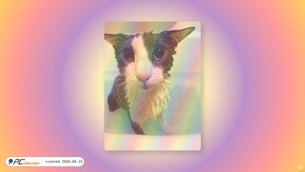 soggy.cat screenshot