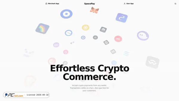 spacepay.solutions screenshot