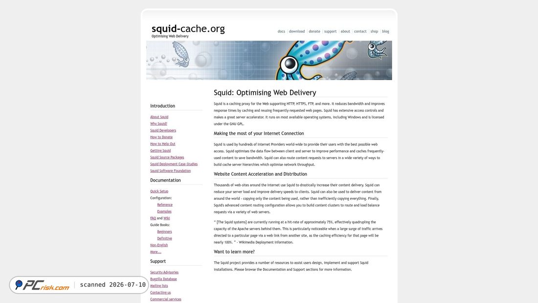 Screenshot of squid-cache.org