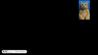 sssdfg.com screenshot
