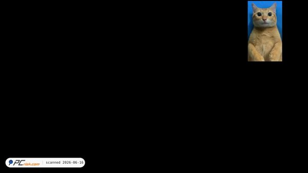 sssdfg.com screenshot