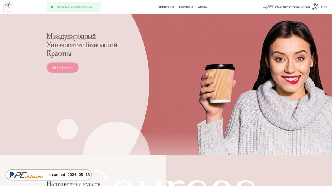 Screenshot of studyadyeducation.com