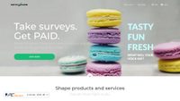 surveyjunkie.com screenshot