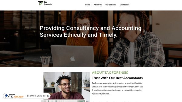 taxforensic.com screenshot