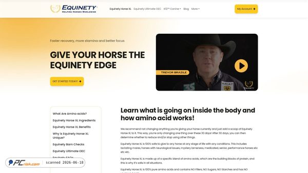 teamequinety.com screenshot