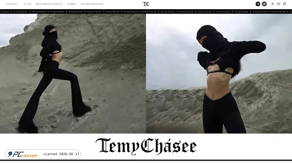 temychasee.ru screenshot