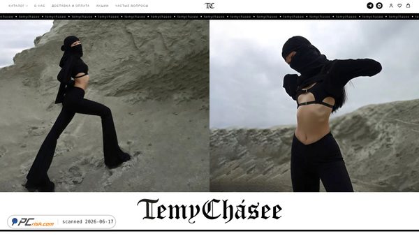 temychasee.ru screenshot