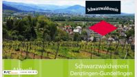 test.schwarzwaldverein-denzlingen.de screenshot
