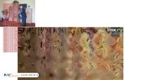theannoyingsite.com screenshot