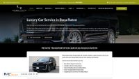 thebestlimovip.com screenshot