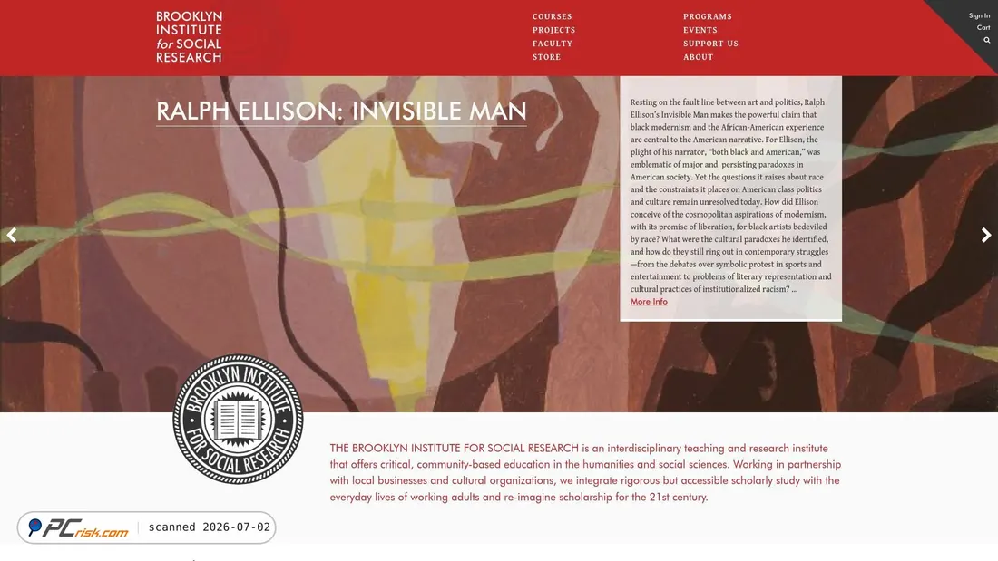 Screenshot of thebrooklyninstitute.com