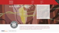 thebrooklyninstitute.com screenshot
