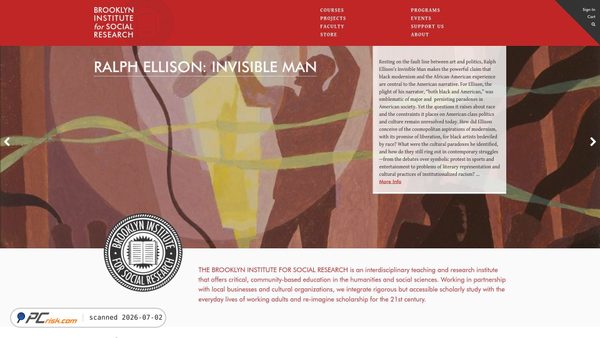 thebrooklyninstitute.com screenshot