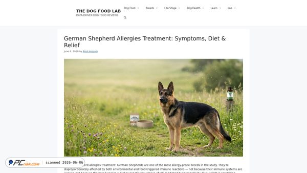 thedogfoodlab.com screenshot