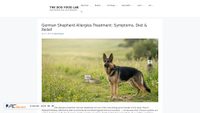 thedogfoodlab.com screenshot