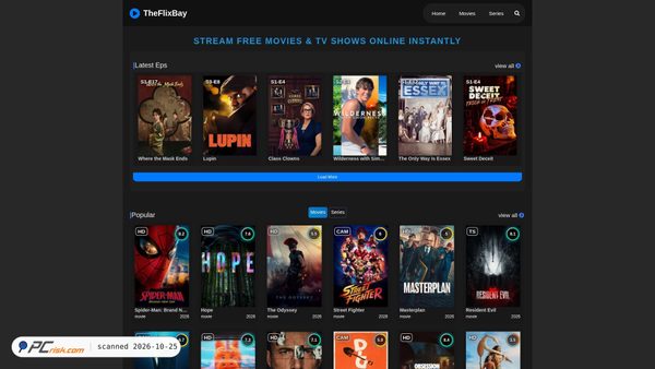 theflixbay.com Screenshot