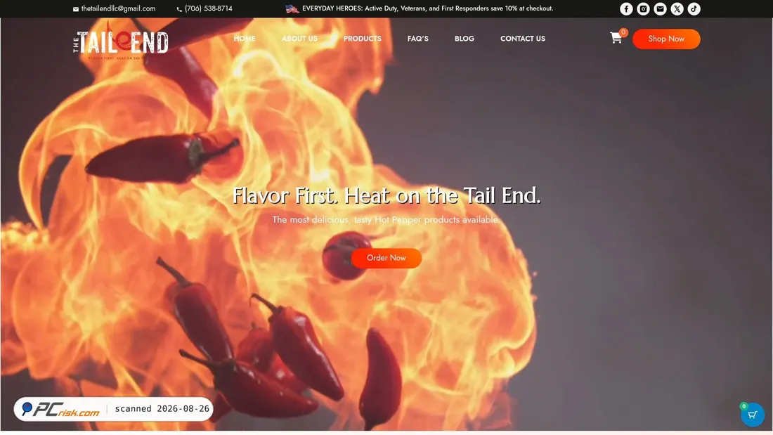 Screenshot of thetailend.net