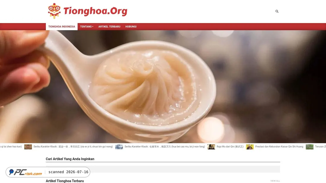 Screenshot of tionghoa.org